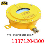 YBL-300矿用隔爆型电流表