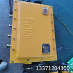 煤矿用隔爆型低压电缆接线盒BHD2-400/1140（660）-4G
