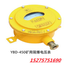 矿用隔爆型电压表YBL-450