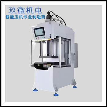 智能伺服電動(dòng)壓機(jī)-品質(zhì)-售后保障