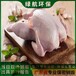 廣州番禺區(qū)過期調(diào)味品報(bào)廢公司焚燒銷毀機(jī)構(gòu)