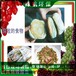 廣州過期化妝品報廢公司檔案銷毀機構