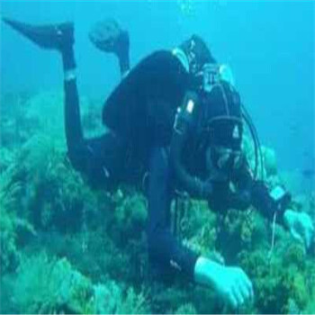 十堰水下打撈公司水下機(jī)器人公司