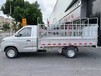 瑞馳EC31L倉柵車出租出售