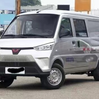 五菱EV50面包車出售