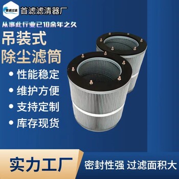 首濾供應(yīng)吊裝式除塵濾筒防靜電除塵濾筒耐高溫防阻燃除塵濾芯