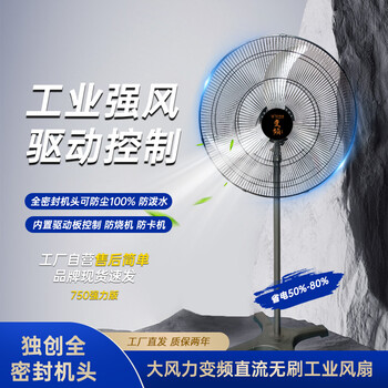 DCY科技變頻工業(yè)風(fēng)扇廠家批發(fā)牛角扇廠家批發(fā)750強(qiáng)力版