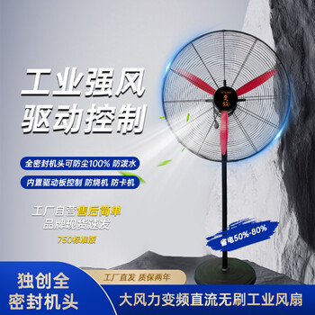 DCY科技直供變頻牛角扇變頻工業(yè)風(fēng)扇750標(biāo)準(zhǔn)版