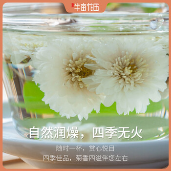 龍鄉(xiāng)貢菊大朵20g罐裝黃山貢菊銅梁特色花草茶菊花茶何記半畝花田