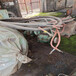 广州电缆回收中心-阻燃电缆回收-收购特高压电缆线