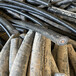 白云区子母线槽回收-旧电缆拆除收购-地埋高压电缆线回收拆除