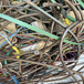 河源旧电缆回收-纯铜芯高压电缆回收-工程剩余电缆线回收
