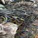 清远旧网线回收-收购铝芯电缆-高低压绝缘电缆回收