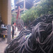 河源低压电缆回收-收购绝缘电缆-紫铜排回收报价环保利用
