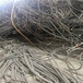 南山区电缆回收价格-阻燃电缆回收-盛欣电缆回收