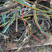 清远铠装电缆回收-回收海底高压电缆-电缆回收咨询电话