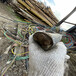 中山市废旧电缆回收-阻燃电缆回收-电缆线回收价格