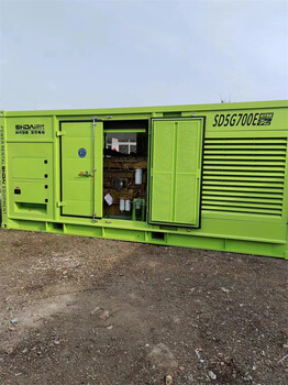 三門峽1000KW發電機出租]300KW發電機出租應急發電