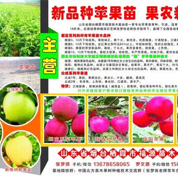 矮化中間砧木m9t337日本月香蘋果樹苗帶土發(fā)貨