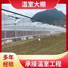 东营广饶骨架温室安装花卉大棚订做反季种植中科生态科普ZKGR-01