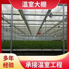 淄博沂源建造花卉大棚智能热镀温室种植培育中科安装方便ZKQY-01