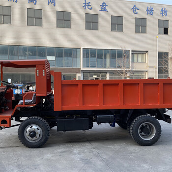 四不像礦運車(chē)渣土轉運車(chē)井下自卸翻斗運輸車(chē)12T
