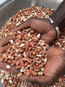 蘇丹及塞內加爾花生種植與進口情況分析