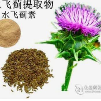 水飛薊提取物