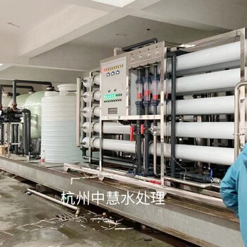 去離子水設(shè)備-500L/H-廠家-杭州中慧水處理