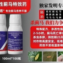 薊馬殺蟲劑圖片
