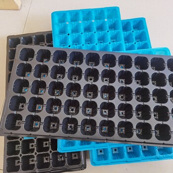 買育苗穴盤就找冬苗育苗穴盤廠