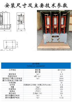 ZN-600/6G交流真空接觸器