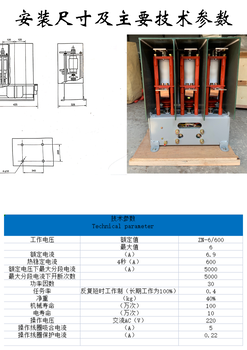 ZN-600/6G交流真空接触器