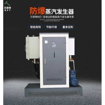 防爆蒸汽發(fā)生器