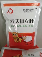 拉骨架壯膘云天慧農(nóng)骨立壯?？焖倮羌茱暳蠣倥ｉL(zhǎng)骨架添加劑圖片