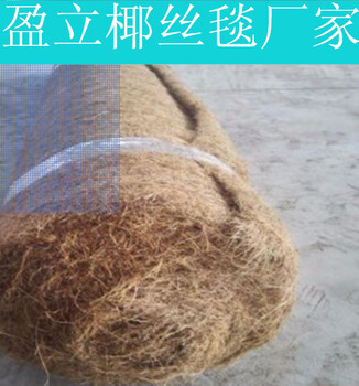 護(hù)坡植生毯廠家邊坡治理養(yǎng)護(hù)椰絲毯稻草毯纖維毯