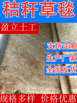 云南護(hù)坡椰絲毯