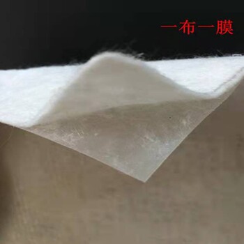 上饒廠家供應(yīng)水利工程常用復(fù)合土工膜