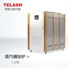 上海特劳士1.2吨蒸汽热源机，智能控制，5秒产汽，无需报检