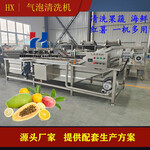 華晅3500型全自動蔬菜清洗機凈菜加工設備醬腌菜脫鹽清洗機