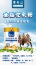 純駝奶有多珍貴？是炒作嗎？一個新疆姑娘，帶你了解“沙漠味道”