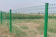 厂家桃型柱护栏绿化带三角折弯护栏河堤安全防护网