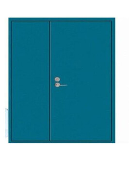 蕪湖市鋼質(zhì)防火門廠家定制小區(qū)廠房宿舍防火門批發(fā)