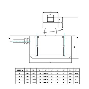 寶雞眉縣40噸LFS輪輻式稱重傳感器