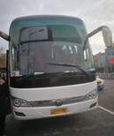 汽车）临朐到永州的客车随车电话-订票咨询图片0