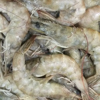 明虾大虾-海鲜-冷冻海鲜-多种虾类海产品