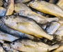 海鲜-冷冻海鲜-各种海产品贝类虾类干货