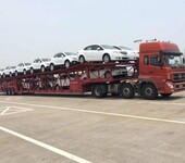 巴里坤哈萨克自治县小型汽车托运返回肇庆（全天在线）