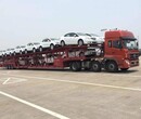 联城：鹤壁市直达特克斯县轿车运输（多久发车）图片