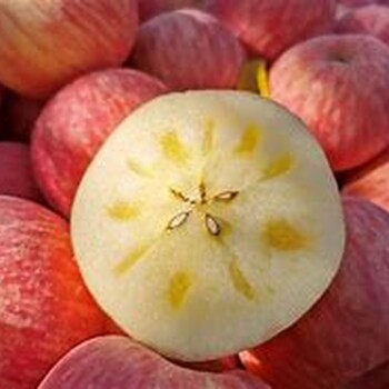 洛川蘋(píng)果代辦費_洛川蘋(píng)果代辦代收網(wǎng)點(diǎn)怎么收費